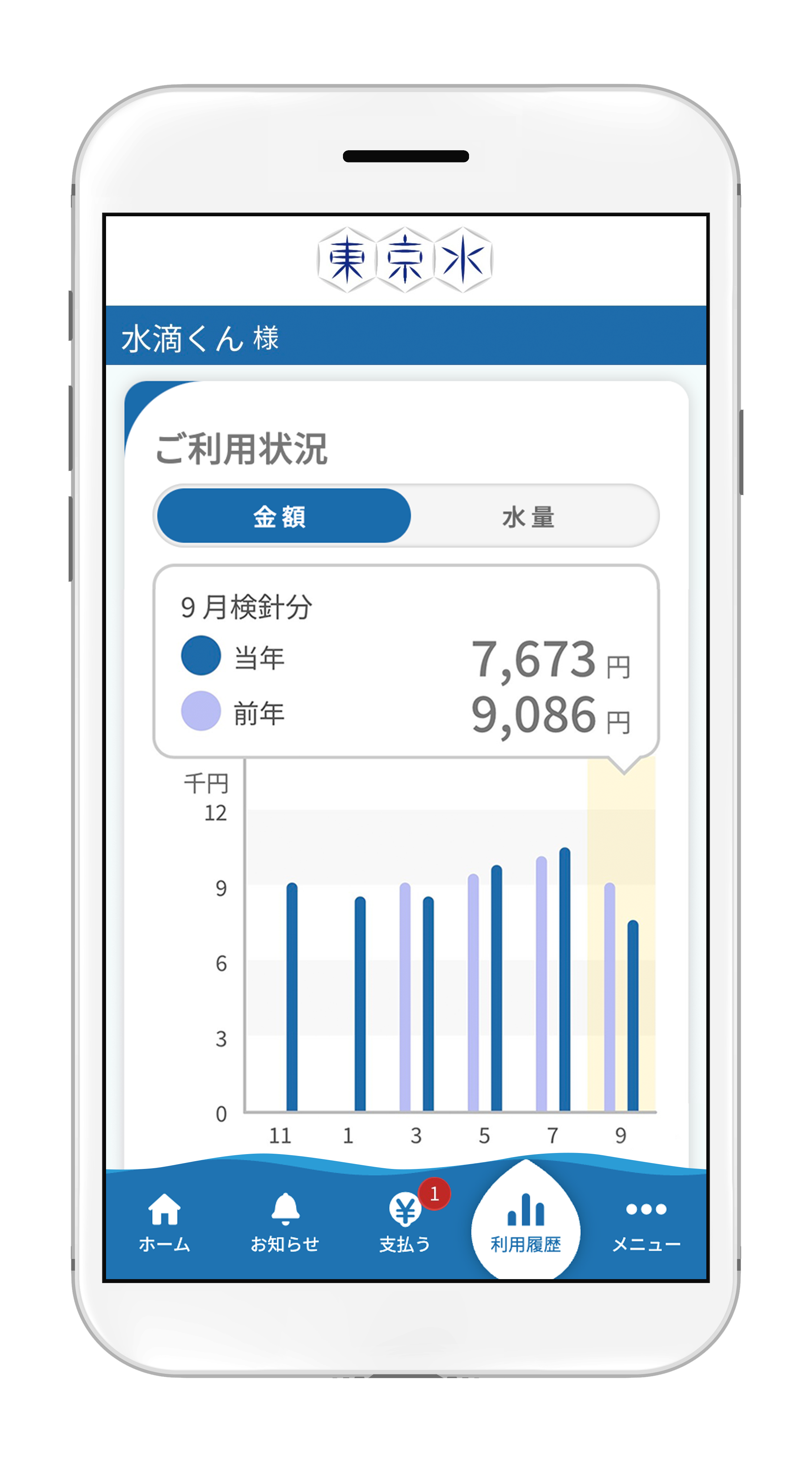 ご利用状況・金額